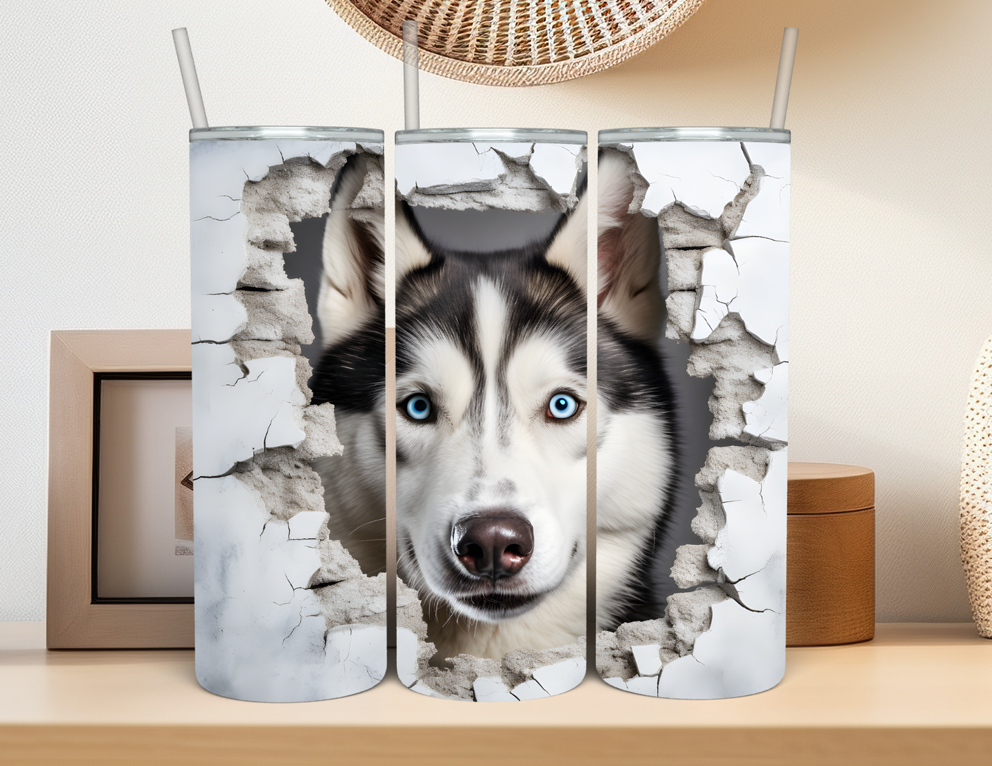 Dog - Siberian Husky