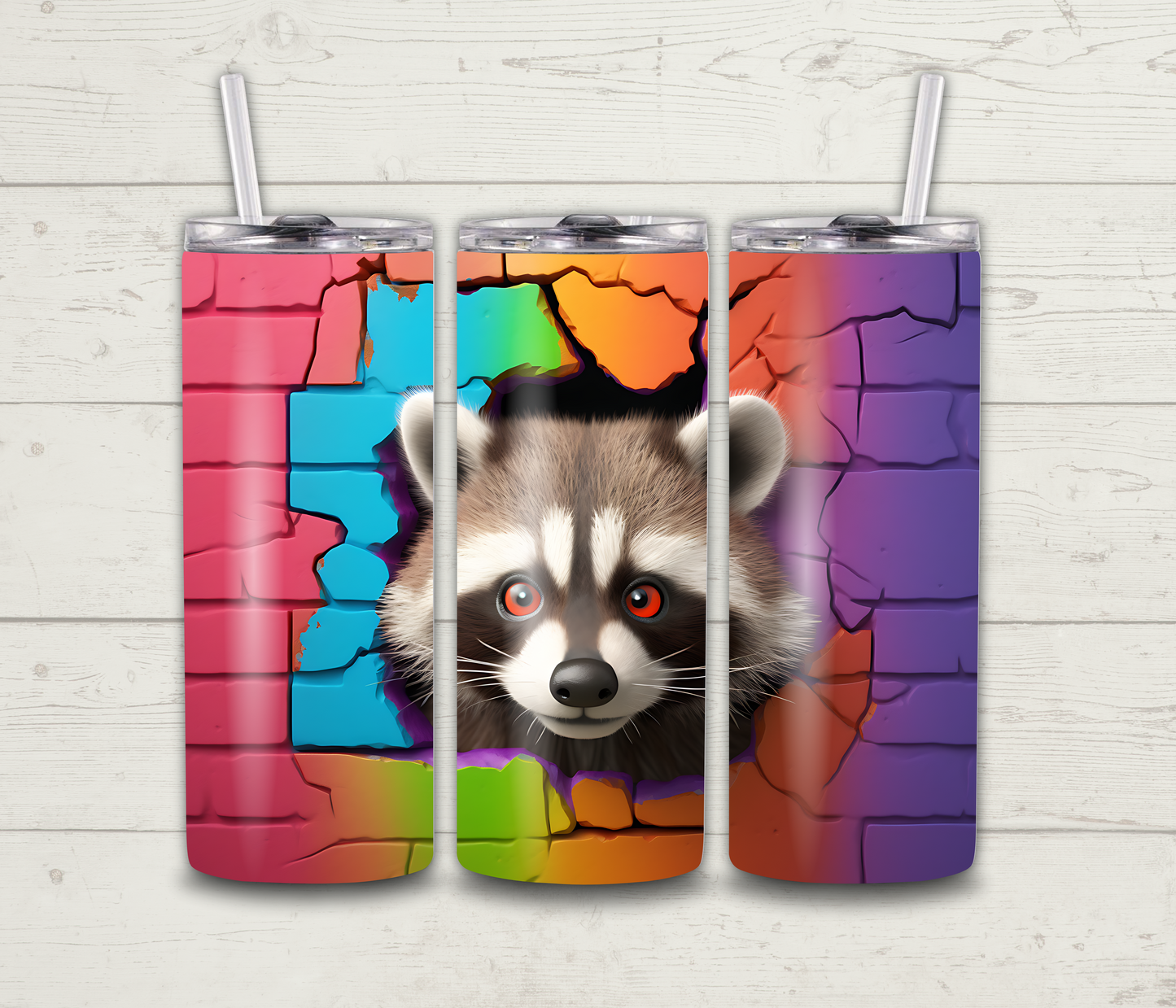 Racoon Through The Wall